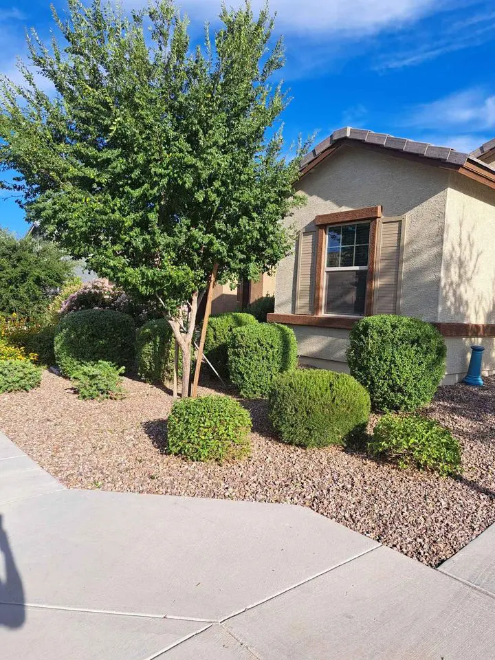 A small house with beige walls and brown trim sits in Deer Valley, surrounded by neatly trimmed bushes and a tree. The Arizona yard features landscaped rocks and artificial grass beneath the clear blue sky. A sidewalk borders the garden area.