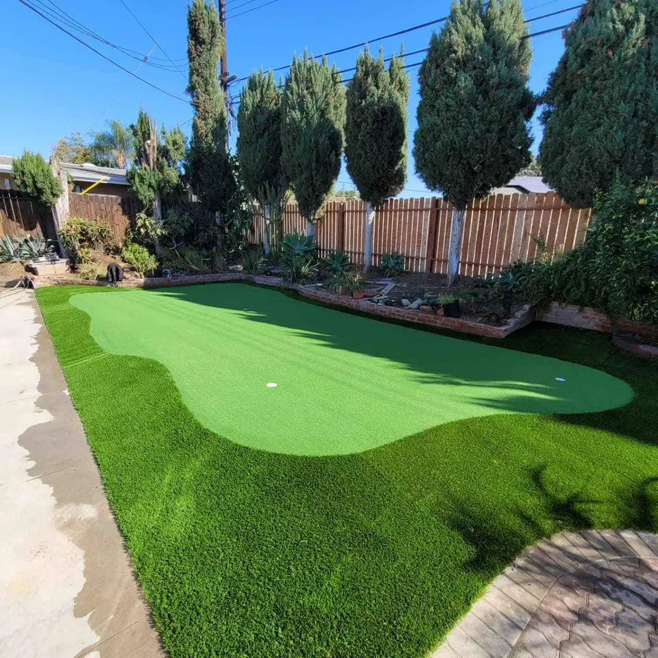 A backyard putting green is bordered by lush, low-maintenance turf in Phoenix, AZ. Tall, slender trees and a wooden fence outline the area, with a clear blue sky overhead. A stone pathway leads to the green, creating a serene outdoor space perfect for relaxation and practice.